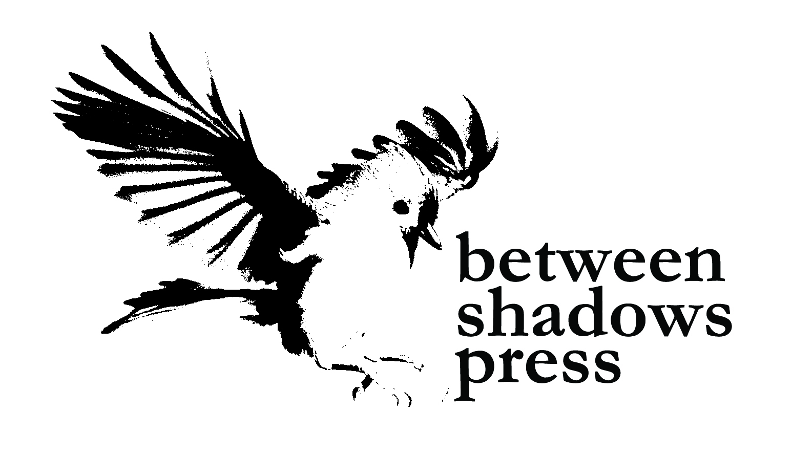between shadows press